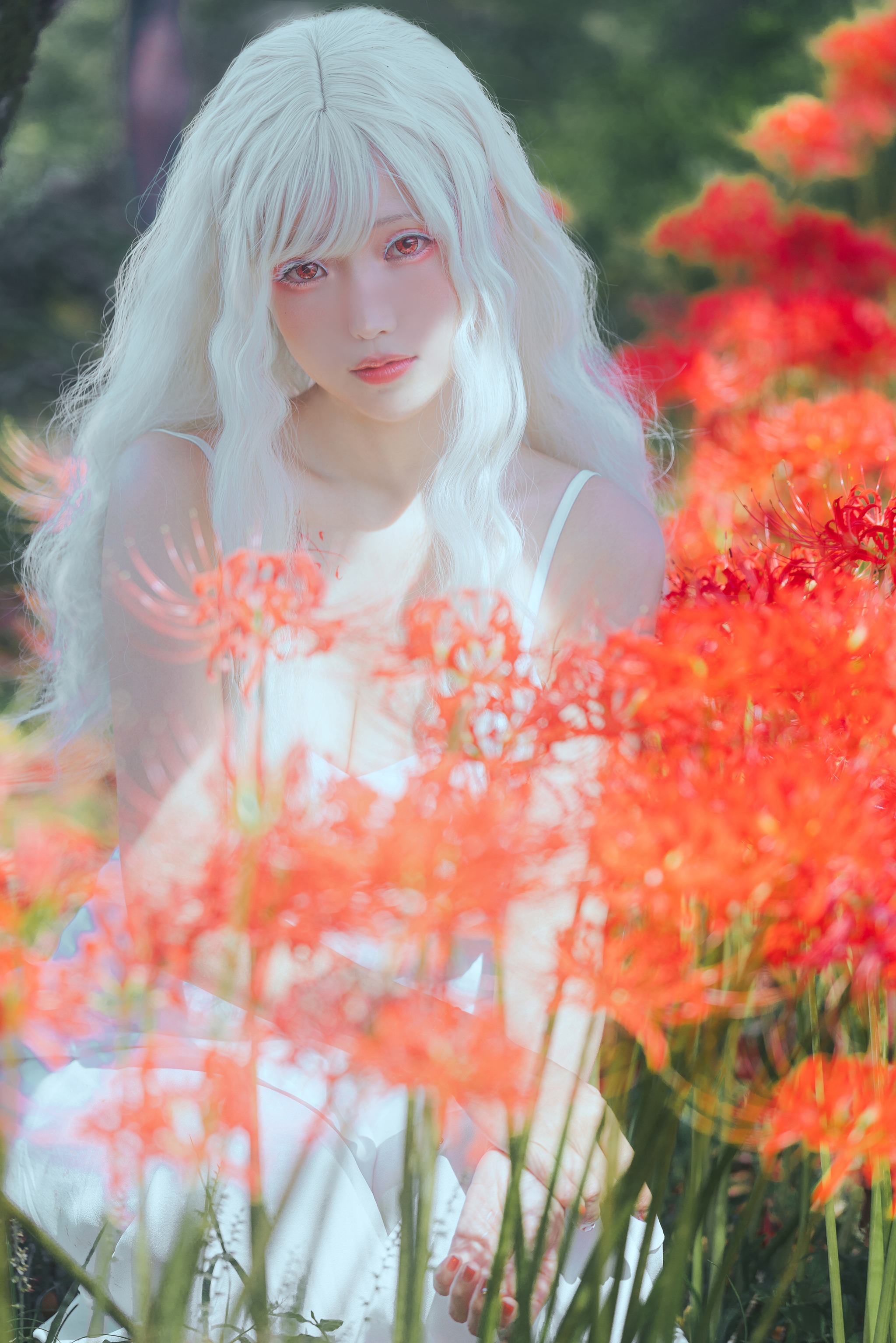 图片[1]-ElyEE子 – NO.153  B-White spider lily 白瓷彼岸 [27P]-XikXak